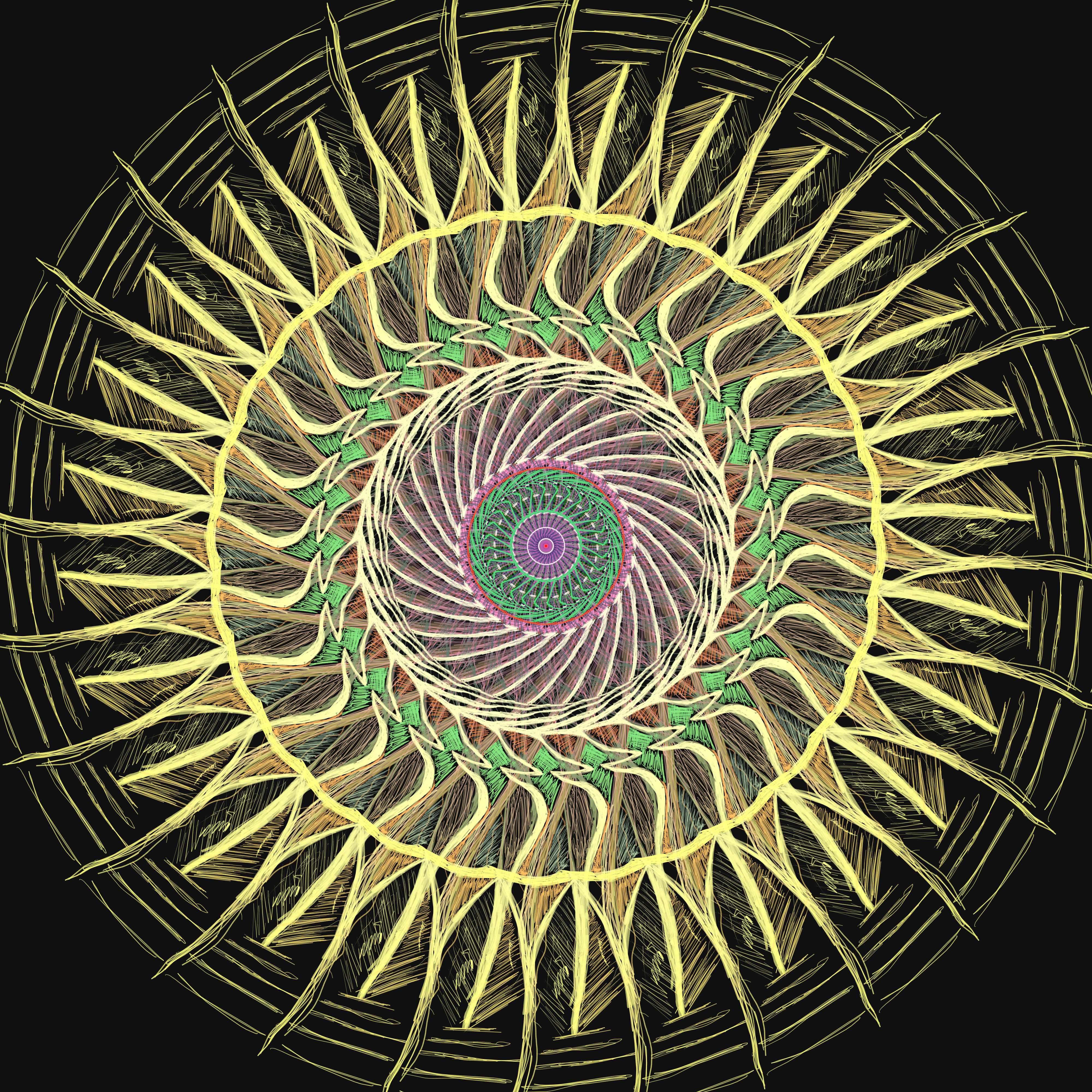 Mathematical Spiral Study